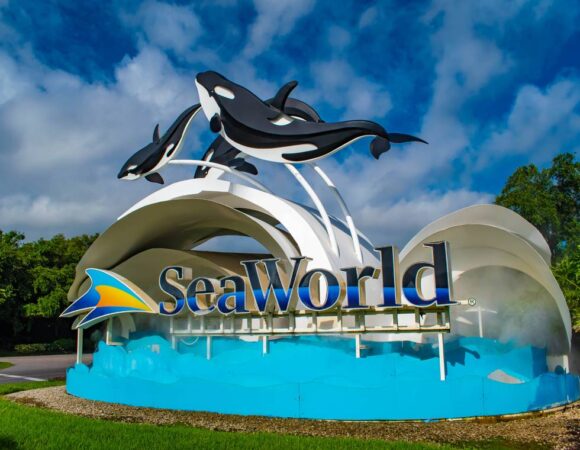 SeaWorld Abu Dhabi Tickets